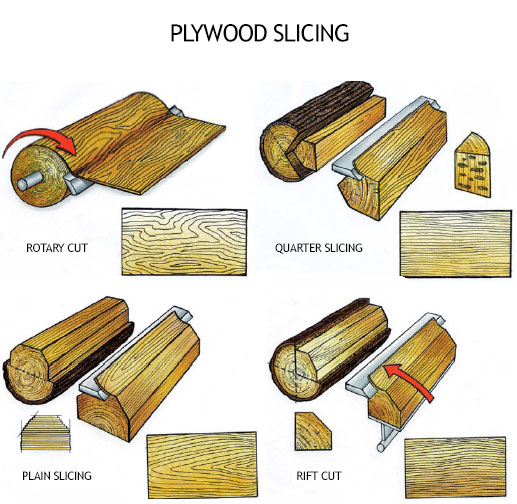 HOW PLYWOOD IS MADE?